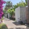 Un sentiero tra bungalow bianchi e fiori viola, con una bicicletta parcheggiata.