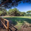Un campo da calcio all'aperto con due porte, circondato da alberi e una staccionata di legno.