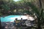 Due sedie a sdraio davanti a una piscina all'aperto, circondata da alberi ombreggianti.