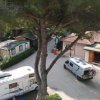 Area di campeggio con camper, bungalow e alberi alti.