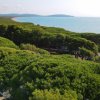 Una vasta foresta di alberi verdi vicino al mare con colline all'orizzonte.