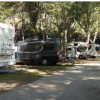 Una fila di camper parcheggiati in un'area alberata.