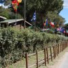 Un vialetto con bandiere colorate sopra le case in legno, alberi e siepi lungo la strada.
