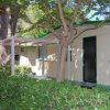 Casa mobile con veranda e siepe verde, circondata da alberi e ombra.