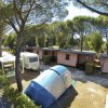 Tenda e roulotte tra alberi in un campeggio.