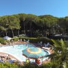 Piscina con ombrelloni colorati e pineta sullo sfondo.