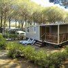 Casa mobile con veranda tra alberi.