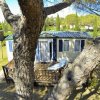 Casa mobile con veranda vista da dietro un albero.