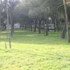 Un prato verde con alberi e pali di legno, roulotte sullo sfondo.